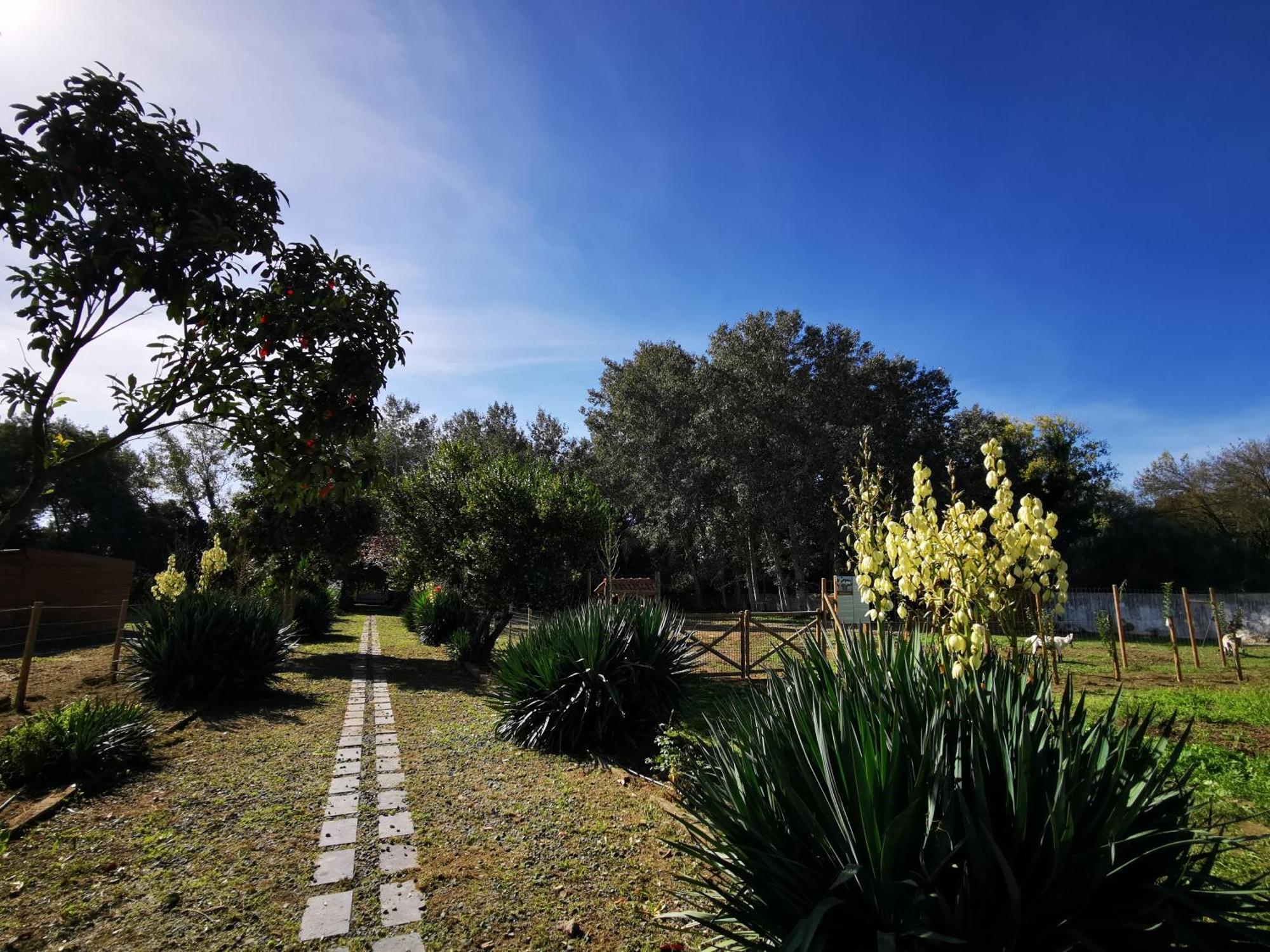 Vila Quinta Do Louredo - Évora Exteriér fotografie